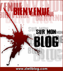 bienvenu sur mon et bonne visite